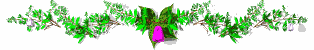 flower2 div md wht1 flower2 div md wht1
