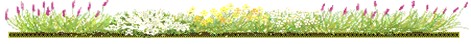 messageimage 1755682960610 messageimage 1755682960610